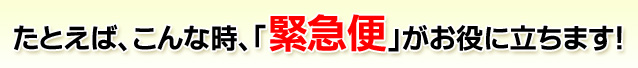 たとえば、こんな時「緊急便」がお役に立ちます！